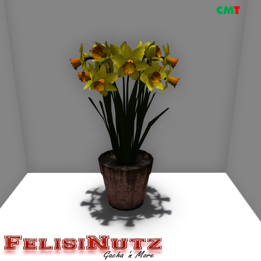 FelisiNutz Daffodils