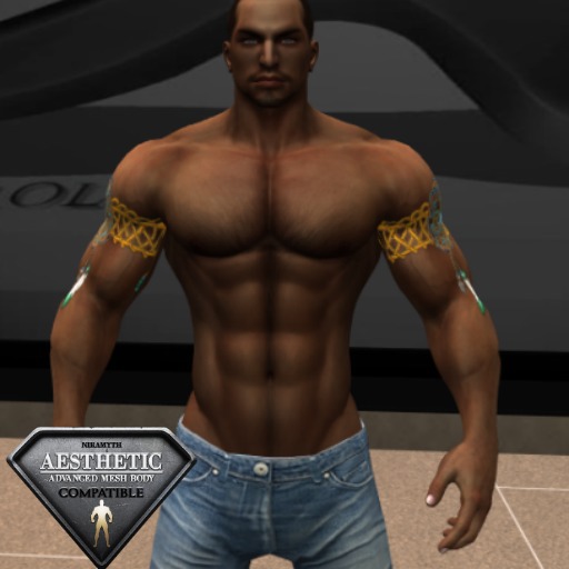 NATIVE AMERICAN ARMBANDS 2 UPPER