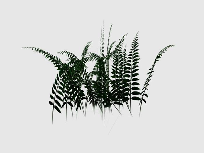 Dark Grass  Modify -Copy