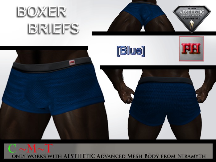 [FHJ ] Boxer Briefs - Blue - NIRAMYTH (BAG)