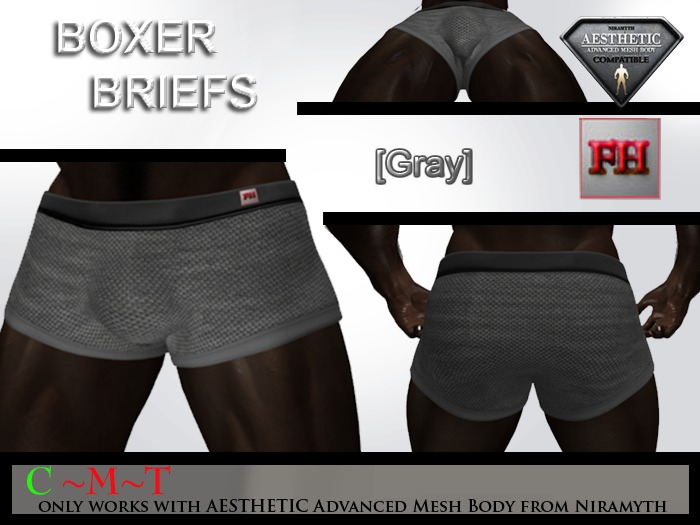 [FH] Boxer Briefs - Gray - NIRAMYTH (BAG)