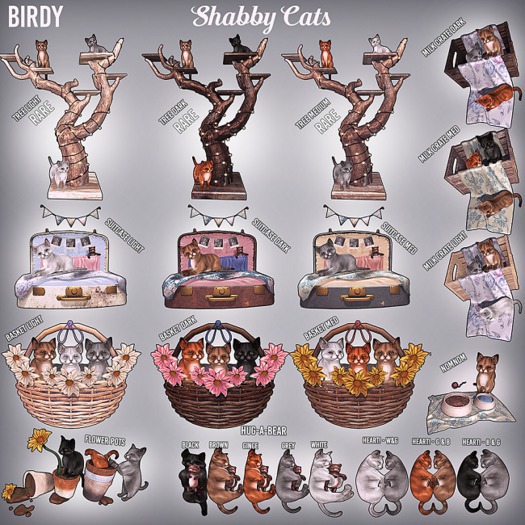  Birdy. Shabby Cats - Luggage - Medium [box] 