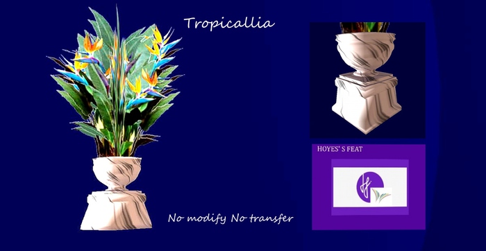 TROPICALLIA # 1.2  Vendor