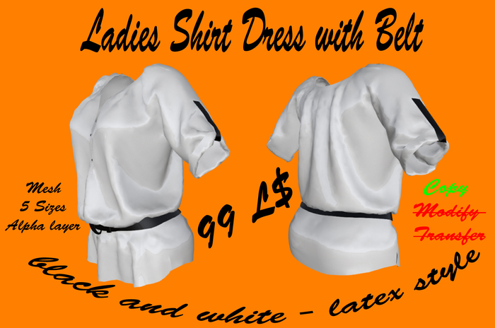 Ladies Shirt Dress with Belt