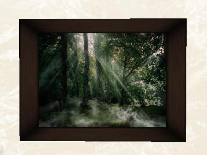 Forest Mist