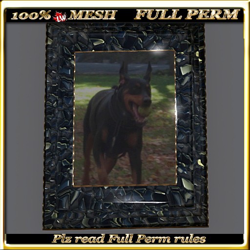 LW_ 3 Piece Mesh Frame Black Marble