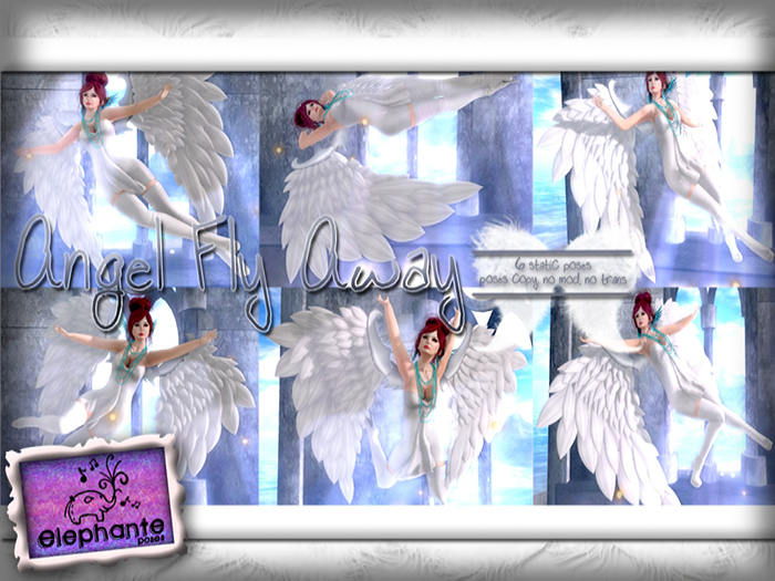 //elephante poses// Angel Fly Away