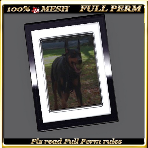 LW_ 3 Piece Mesh Frame Black Marble