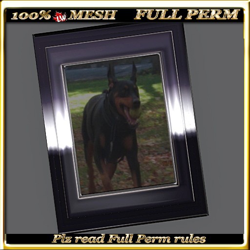 LW_ 3 Piece Mesh Frame Black Marble