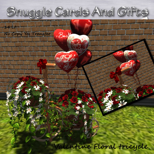 Valentine Floral tricycle Snuggles