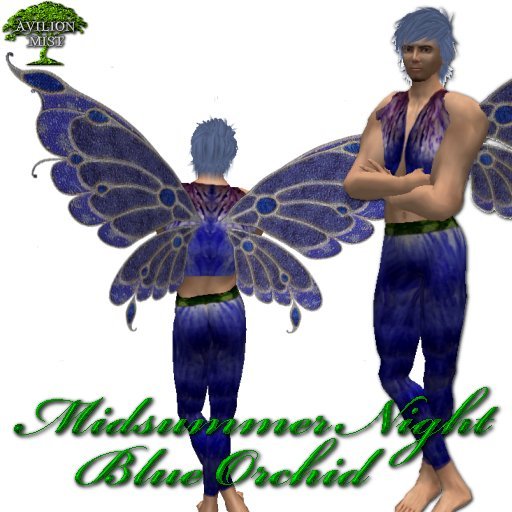 Avilion Mist - Midsummer Night -Blue Orchid  - MALE