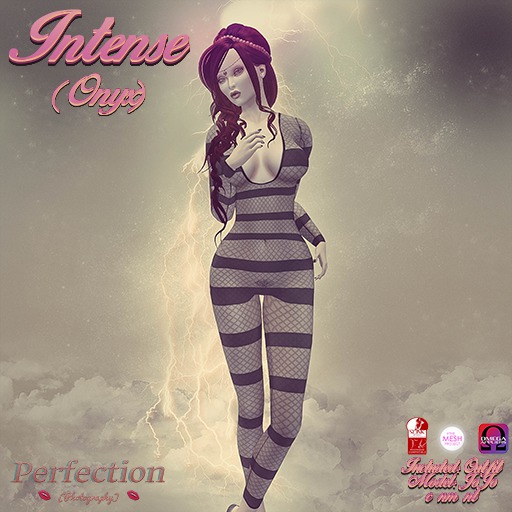 Perfection ~ Intense (Onyx)-HUD ADD ME-