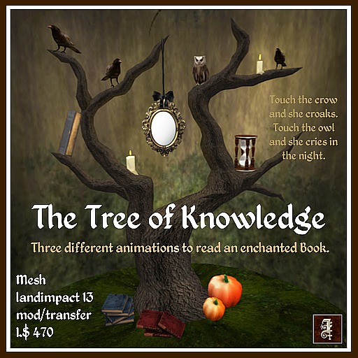 *IOLAIR* The Tree of Knowledge Box
