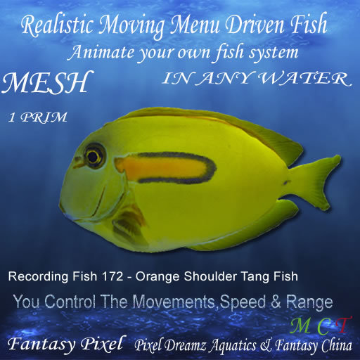 Realistic Moving Menu Driven Fish YOU CONTROL - Recording Fish 172 - Orange Shoulder Tang Fish