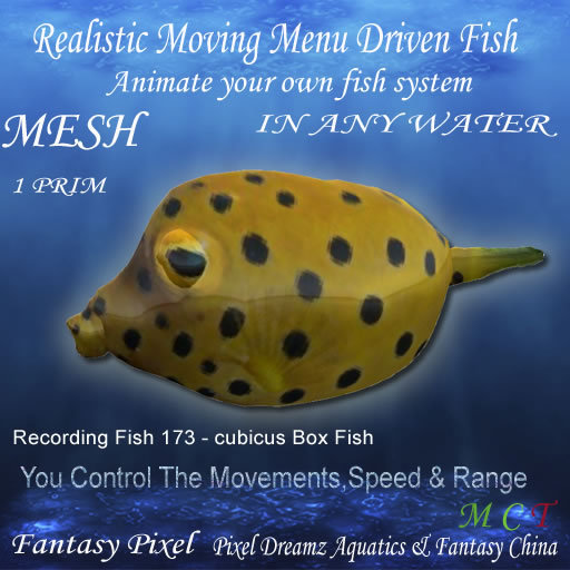 Realistic Moving Menu Driven Fish YOU CONTROL - Recording Fish 173 - cubicus Box Fish