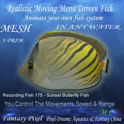 Realistic Moving Menu Driven Fish YOU CONTROL - Recording Fish 175 - Sunset Butterfly Fish
