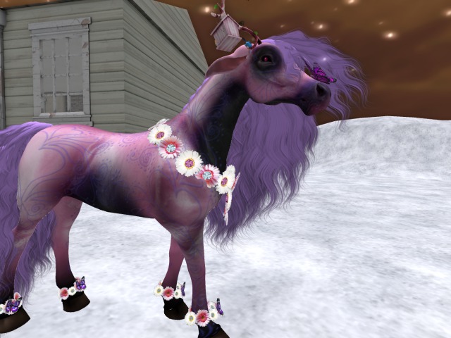 (TC)Daisy set for BC petite horse mod