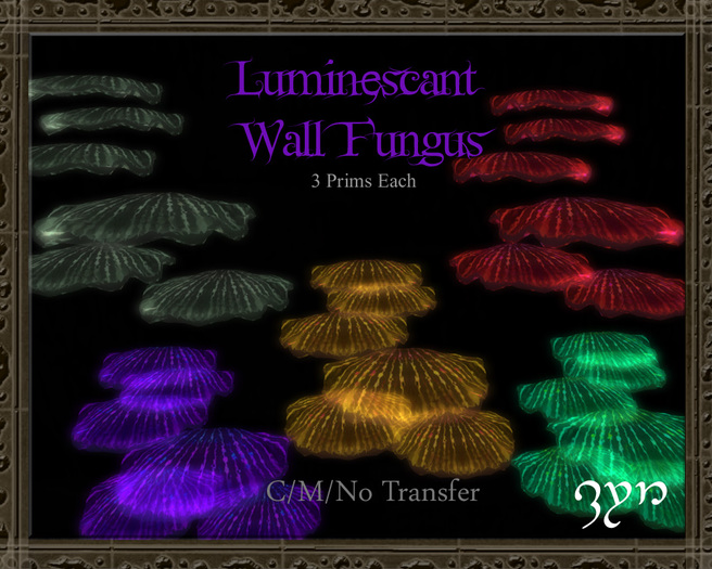Zyn ~ Luminescant Wall Fungus BOX
