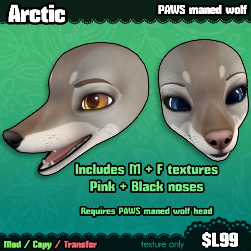 Ferine : Arctic - PAWS head