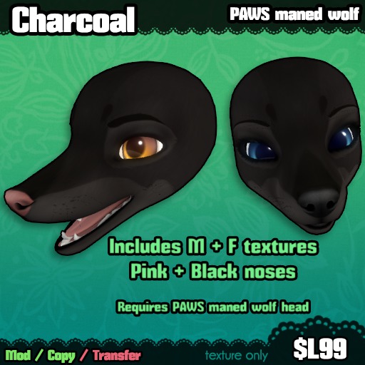 Ferine : Charcoal - PAWS head