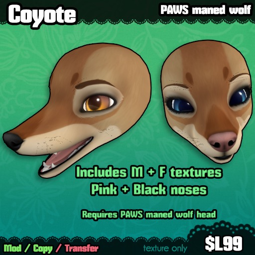 Ferine : Coyote - PAWS head