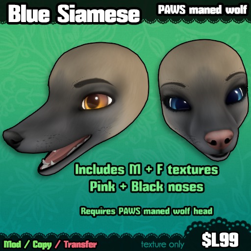 Ferine : Blue Siamese - PAWS head
