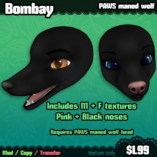 Ferine : Bombay - PAWS head