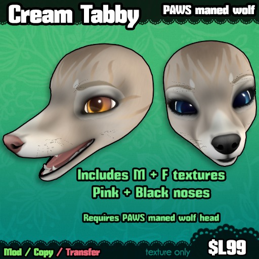 Ferine : Cream Tabby - PAWS head