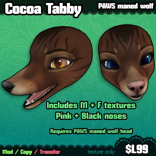 Ferine : Cocoa Tabby - PAWS head