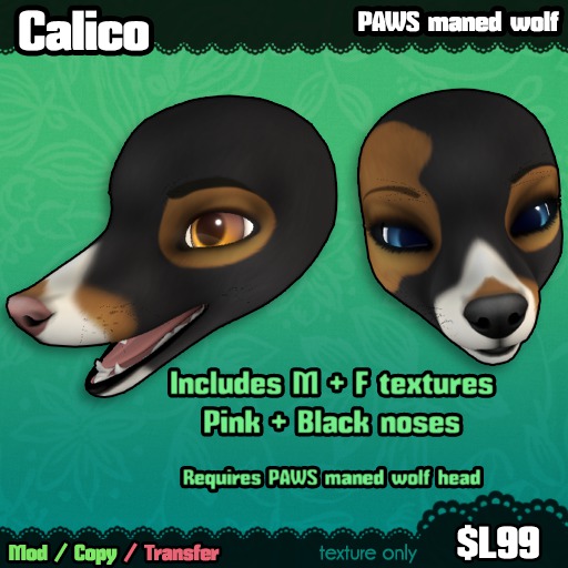 Ferine : Calico - PAWS head