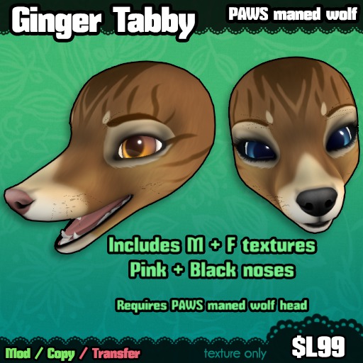Ferine : Ginger Tabby - PAWS head