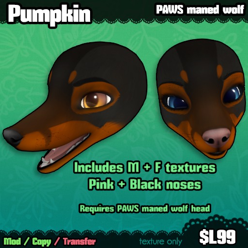Ferine : Pumpkin - PAWS head