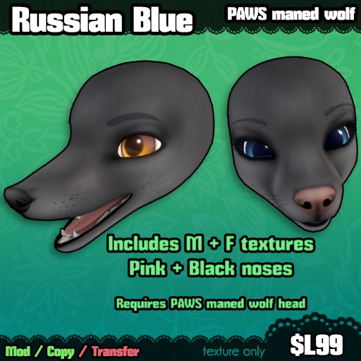 Ferine : Russian Blue - PAWS head