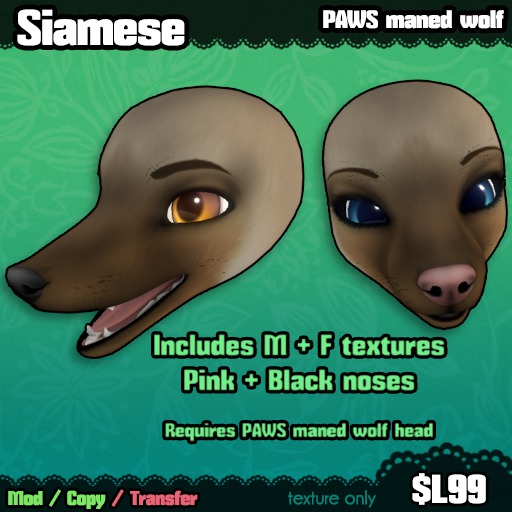 Ferine : Siamese - PAWS head