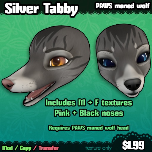 Ferine : Silver Tabby - PAWS head