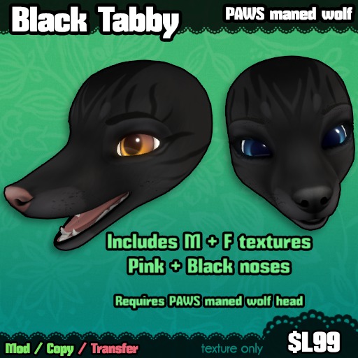 Ferine : Black Tabby - PAWS head