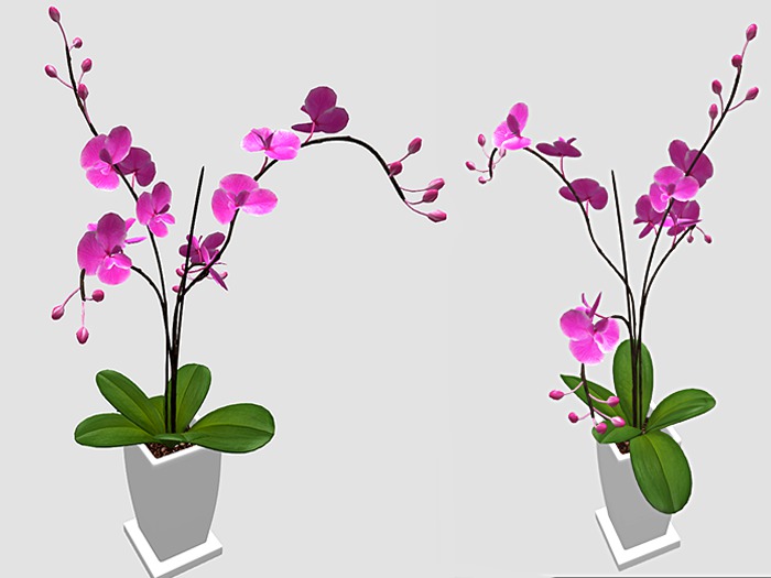 Plants Mesh - Collection