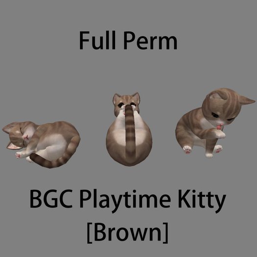 BGC Playtime Kitty [Brown] Playing