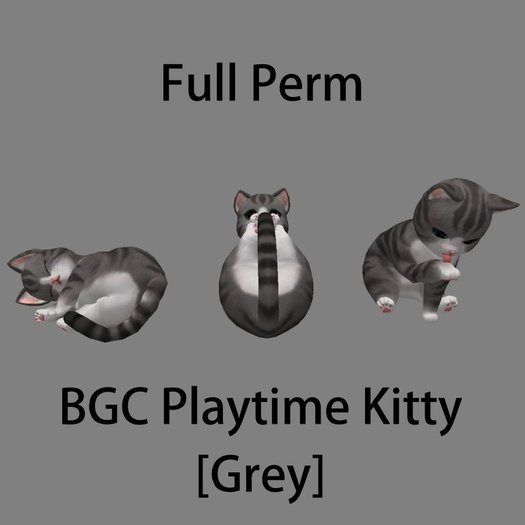 BGC Playtime Kitty [Grey] Playing