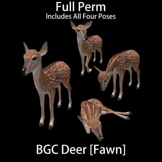 BGC Deer [Fawn] Standing