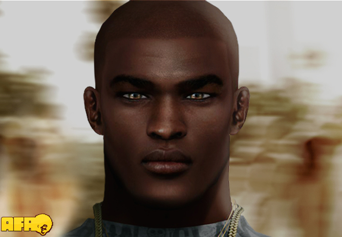 >AFRO< Mr. Hustle :: Skin :: Tone .02