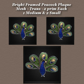 Bright Framed Peacock Plaque Med & Sm