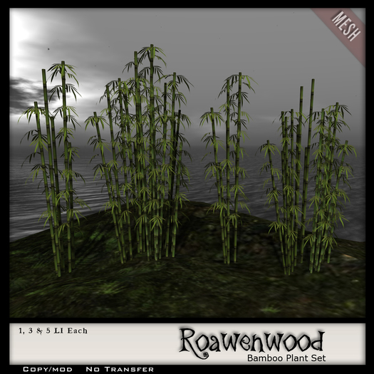 {RW} Bamboo Plants Pack