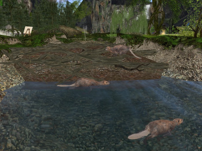 *Xtal* Beaver Dam Scene