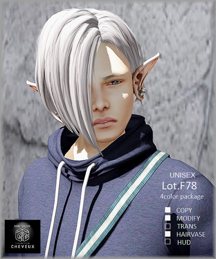 .:CHEVEUX:.F078 Hair Silver