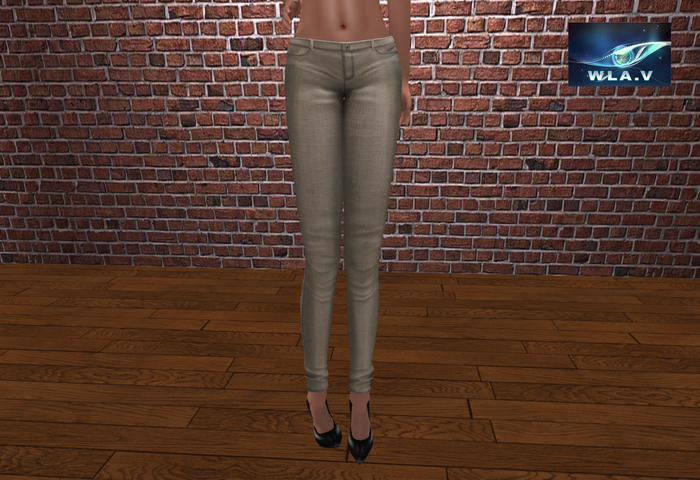 Lady Metallic pants "MESH"