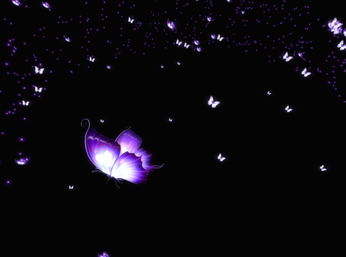Ultraviolet Butterflys \\ by Color Alchemists