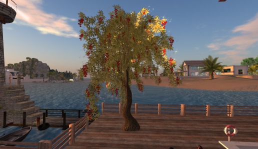 Red Berry Tree  ((FS))