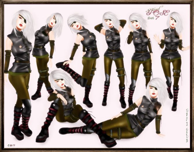 *{SeVeredPOSE}*Set7