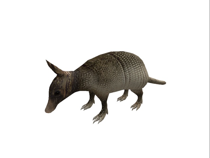Animated Mesh Armadillo